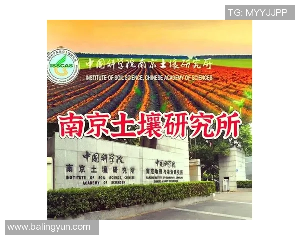 南京乒乓球队转型之路探秘：从传统强队到现代化发展的新篇章